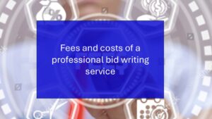how much does a professional tender and bid writing service costs in the UK?